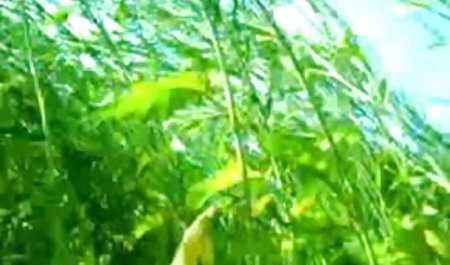बाउंड मैन सेक्सी फिल्म देखने के लिए और मार्कर के साथ दो नकाबपोश बलात्कारियों से दूर भागता है